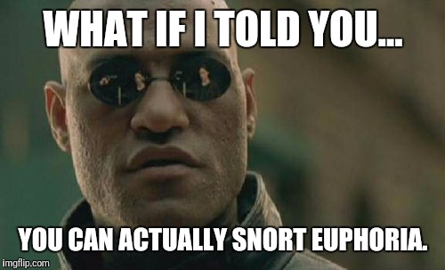Matrix Morpheus Meme | WHAT IF I TOLD YOU... YOU CAN ACTUALLY SNORT EUPHORIA. | image tagged in memes,matrix morpheus | made w/ Imgflip meme maker