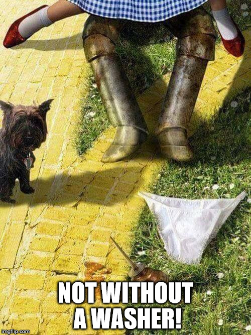 Dorothy Does the Tin Man | NOT WITHOUT A WASHER! | image tagged in dorothy tinman wizard of oz | made w/ Imgflip meme maker