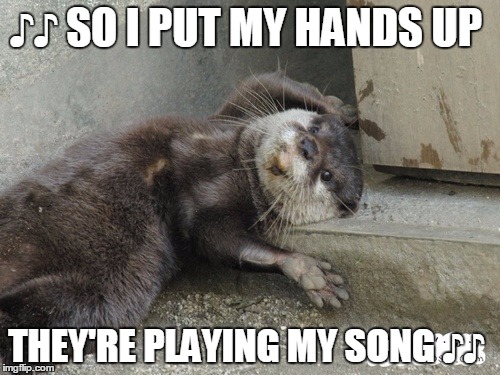 ♪♪ SO I PUT MY HANDS UP; THEY'RE PLAYING MY SONG ♪♪ | image tagged in otter,miley cyrus | made w/ Imgflip meme maker