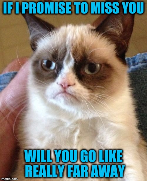 Grumpy Cat | IF I PROMISE TO MISS YOU; WILL YOU GO LIKE REALLY FAR AWAY | image tagged in memes,grumpy cat | made w/ Imgflip meme maker