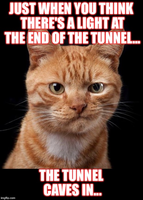 Frustrated Cat | JUST WHEN YOU THINK THERE'S A LIGHT AT THE END OF THE TUNNEL... THE TUNNEL CAVES IN... | image tagged in frustrated cat | made w/ Imgflip meme maker