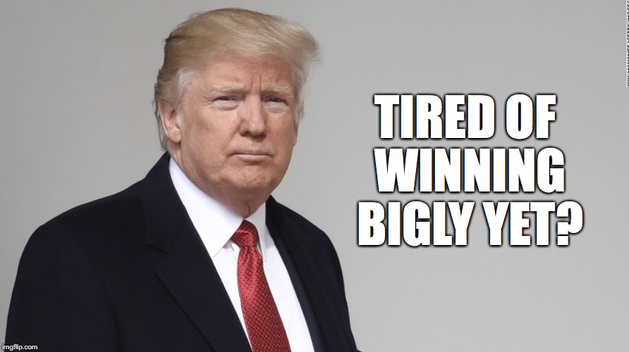Trump | TIRED OF WINNING BIGLY YET? | image tagged in trump | made w/ Imgflip meme maker