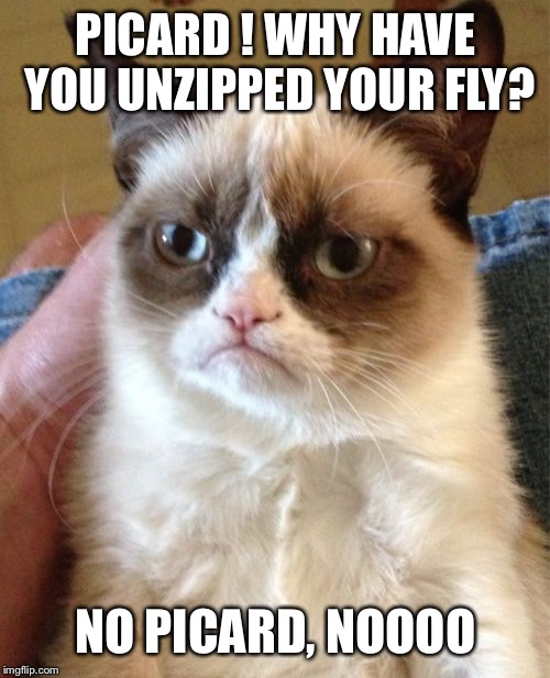 Grumpy Cat Meme | PICARD ! WHY HAVE YOU UNZIPPED YOUR FLY? NO PICARD, NOOOO | image tagged in memes,grumpy cat | made w/ Imgflip meme maker