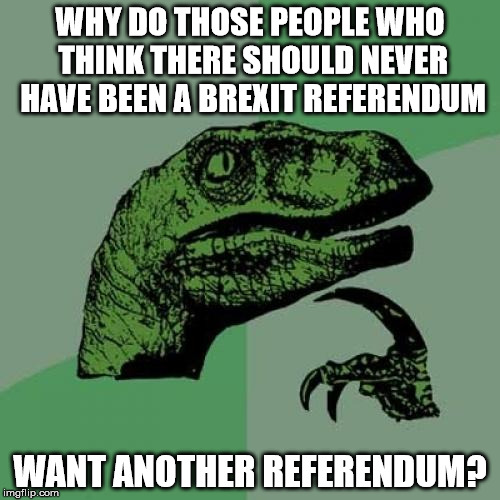 Philosoraptor Meme | WHY DO THOSE PEOPLE WHO THINK THERE SHOULD NEVER HAVE BEEN A BREXIT REFERENDUM; WANT ANOTHER REFERENDUM? | image tagged in memes,philosoraptor | made w/ Imgflip meme maker