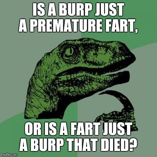 I just wanted to clear the air... | IS A BURP JUST A PREMATURE FART, OR IS A FART JUST A BURP THAT DIED? | image tagged in memes,philosoraptor,fart,burp | made w/ Imgflip meme maker