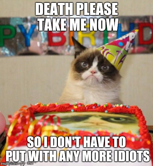 Grumpy Cat Birthday | DEATH PLEASE TAKE ME NOW; SO I DON'T HAVE TO PUT WITH ANY MORE IDIOTS | image tagged in memes,grumpy cat birthday,grumpy cat | made w/ Imgflip meme maker