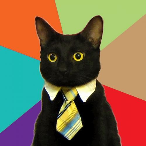 High Quality Black Cat in Tie Blank Meme Template
