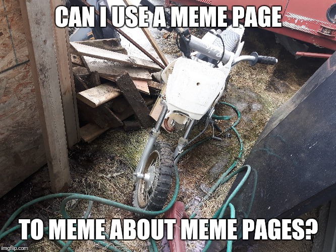 I want to meme about a meme page on this meme page for meme reasons. | CAN I USE A MEME PAGE; TO MEME ABOUT MEME PAGES? | image tagged in meme the meme,memes,funny | made w/ Imgflip meme maker
