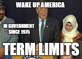 Schumer Tears | WAKE UP AMERICA; IN GOVERNMENT SINCE 1975; TERM LIMITS | image tagged in schumer tears | made w/ Imgflip meme maker