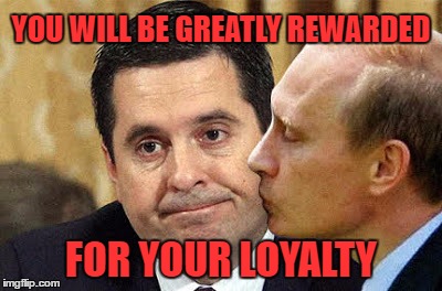 Putin Loves Nunes | YOU WILL BE GREATLY REWARDED; FOR YOUR LOYALTY | image tagged in putin | made w/ Imgflip meme maker