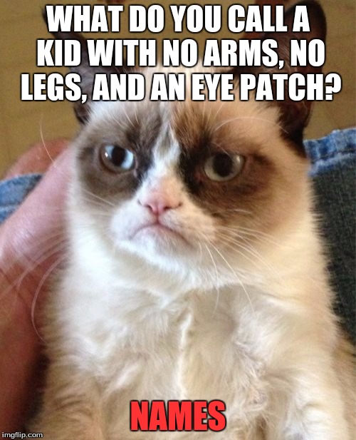 Grumpy Cat | WHAT DO YOU CALL A KID WITH NO ARMS, NO LEGS, AND AN EYE PATCH? NAMES | image tagged in memes,grumpy cat | made w/ Imgflip meme maker