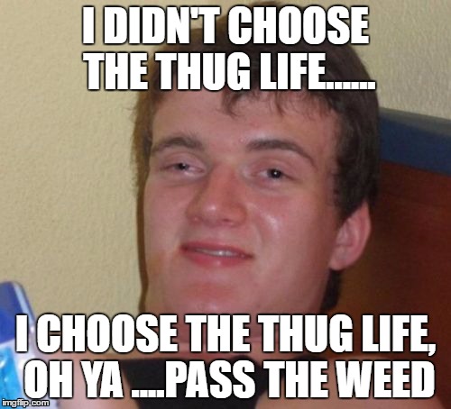 10 Guy Meme | I DIDN'T CHOOSE THE THUG LIFE...... I CHOOSE THE THUG LIFE, OH YA ....PASS THE WEED | image tagged in memes,10 guy | made w/ Imgflip meme maker