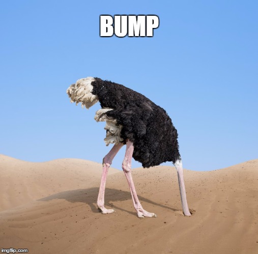 BUMP | made w/ Imgflip meme maker