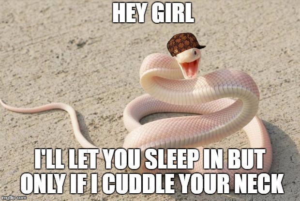 Snakememe | HEY GIRL; I'LL LET YOU SLEEP IN BUT ONLY IF I CUDDLE YOUR NECK | image tagged in snakememe,scumbag | made w/ Imgflip meme maker