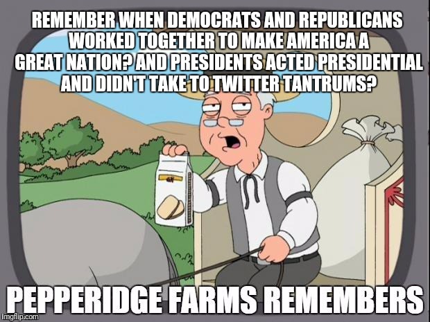 PEPPERIDGE FARMS REMEMBERS | REMEMBER WHEN DEMOCRATS AND REPUBLICANS WORKED TOGETHER TO MAKE AMERICA A GREAT NATION? AND PRESIDENTS ACTED PRESIDENTIAL AND DIDN'T TAKE TO TWITTER TANTRUMS? | image tagged in pepperidge farms remembers | made w/ Imgflip meme maker