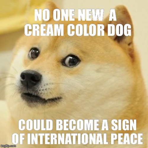 Doge Meme | NO ONE NEW  A  CREAM COLOR DOG; COULD BECOME A SIGN OF INTERNATIONAL PEACE | image tagged in memes,doge | made w/ Imgflip meme maker