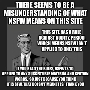 A little info for those unclear on NSFW | THERE SEEMS TO BE A MISUNDERSTANDING OF WHAT NSFW MEANS ON THIS SITE; THIS SITE HAS A RULE AGAINST NUDITY, PERIOD, WHICH MEANS NSFW ISN'T APPLIED TO ONLY THIS; IF YOU READ THE RULES, NSFW IS TO APPLIED TO ANY SUGGESTIBLE MATERIAL AND CERTAIN WORDS.  SO JUST BECAUSE YOU THINK IT IS SFW, THAT DOESN'T MEAN IT IS.  THANK YOU | image tagged in memes | made w/ Imgflip meme maker