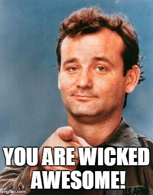 Bill Murray You're Awesome | YOU ARE WICKED AWESOME! | image tagged in bill murray you're awesome | made w/ Imgflip meme maker