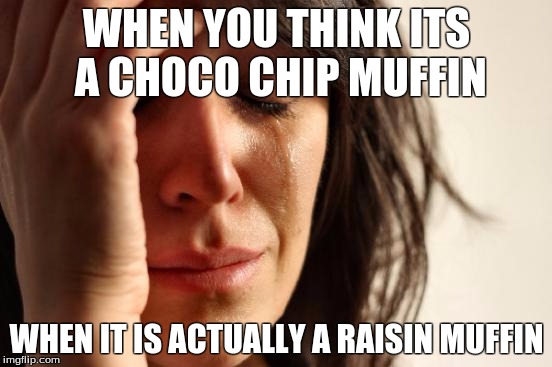 First World Problems Meme | WHEN YOU THINK ITS A CHOCO CHIP MUFFIN; WHEN IT IS ACTUALLY A RAISIN MUFFIN | image tagged in memes,first world problems | made w/ Imgflip meme maker