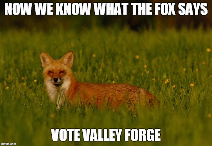 NOW WE KNOW WHAT THE FOX SAYS; VOTE VALLEY FORGE | made w/ Imgflip meme maker