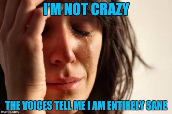 First World Problems | I’M NOT CRAZY; THE VOICES TELL ME I AM ENTIRELY SANE | image tagged in memes,first world problems | made w/ Imgflip meme maker