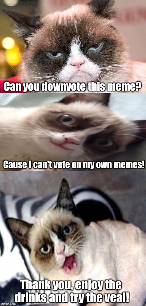 Grumpy Cat in Kansas | Can you downvote this meme? Cause I can't vote on my own memes! Thank you, enjoy the drinks and try the veal! | image tagged in bad pun grumpy cat,memes | made w/ Imgflip meme maker
