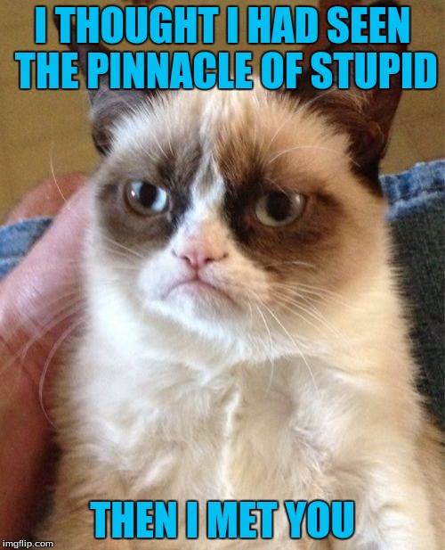 Grumpy Cat | I THOUGHT I HAD SEEN THE PINNACLE OF STUPID; THEN I MET YOU | image tagged in memes,grumpy cat | made w/ Imgflip meme maker