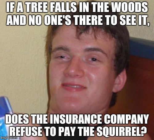10 Guy Meme | IF A TREE FALLS IN THE WOODS AND NO ONE'S THERE TO SEE IT, DOES THE INSURANCE COMPANY REFUSE TO PAY THE SQUIRREL? | image tagged in memes,10 guy | made w/ Imgflip meme maker