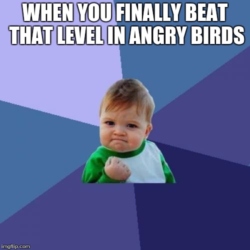 Success Kid Meme | WHEN YOU FINALLY BEAT THAT LEVEL IN ANGRY BIRDS | image tagged in memes,success kid | made w/ Imgflip meme maker