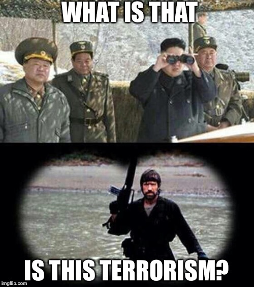 chuck norris | WHAT IS THAT; IS THIS TERRORISM? | image tagged in chuck norris | made w/ Imgflip meme maker