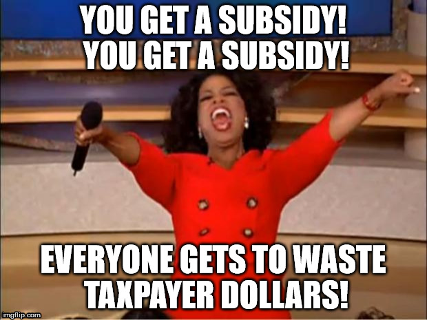 Oprah You Get A Meme | YOU GET A SUBSIDY! YOU GET A SUBSIDY! EVERYONE GETS TO WASTE TAXPAYER DOLLARS! | image tagged in memes,oprah you get a | made w/ Imgflip meme maker