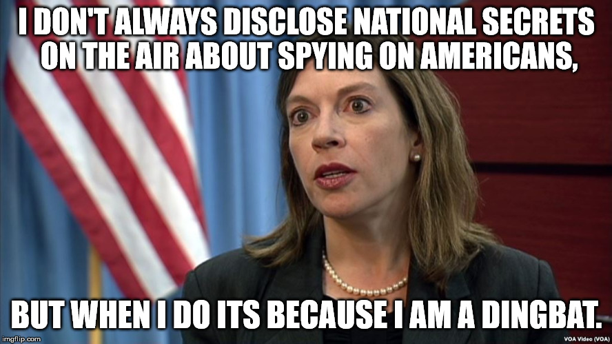 Evelyn Farkas Squeals | I DON'T ALWAYS DISCLOSE NATIONAL SECRETS ON THE AIR ABOUT SPYING ON AMERICANS, BUT WHEN I DO ITS BECAUSE I AM A DINGBAT. | image tagged in spy,russia,trump,msnbc | made w/ Imgflip meme maker