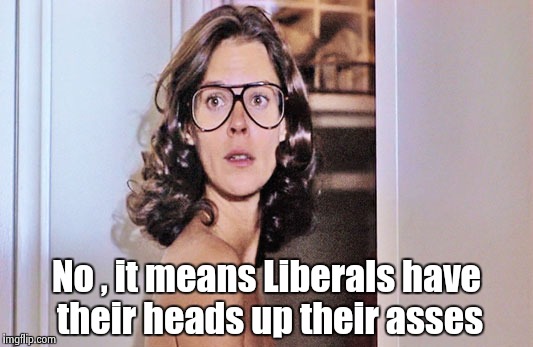 Jobeth Williams | No , it means Liberals have their heads up their asses | image tagged in jobeth williams | made w/ Imgflip meme maker