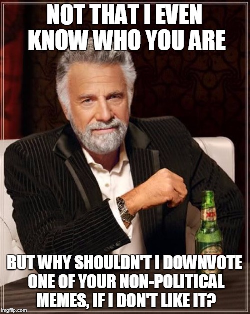 The Most Interesting Man In The World Meme | NOT THAT I EVEN KNOW WHO YOU ARE BUT WHY SHOULDN'T I DOWNVOTE ONE OF YOUR NON-POLITICAL MEMES, IF I DON'T LIKE IT? | image tagged in memes,the most interesting man in the world | made w/ Imgflip meme maker