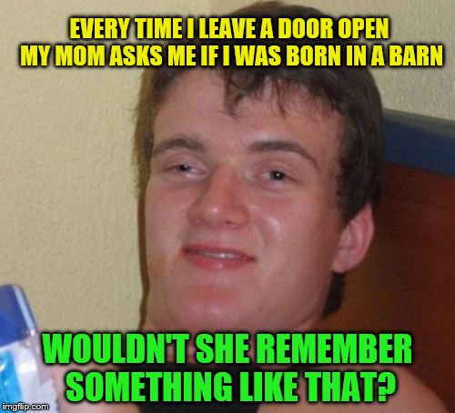 10 Guy Meme | EVERY TIME I LEAVE A DOOR OPEN MY MOM ASKS ME IF I WAS BORN IN A BARN; WOULDN'T SHE REMEMBER SOMETHING LIKE THAT? | image tagged in memes,10 guy | made w/ Imgflip meme maker