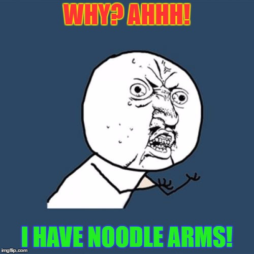 Y U No Meme | WHY? AHHH! I HAVE NOODLE ARMS! | image tagged in memes,y u no | made w/ Imgflip meme maker