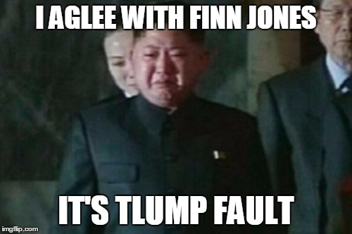Kim agreeing with Finn Jones | I AGLEE WITH FINN JONES; IT'S TLUMP FAULT | image tagged in memes,kim jong un sad,donald trump,finn jones | made w/ Imgflip meme maker