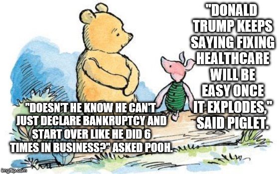 winnie the pooh and piglet | "DONALD TRUMP KEEPS SAYING FIXING HEALTHCARE WILL BE EASY ONCE IT EXPLODES," SAID PIGLET. "DOESN'T HE KNOW HE CAN'T JUST DECLARE BANKRUPTCY AND START OVER LIKE HE DID 6 TIMES IN BUSINESS?" ASKED POOH. | image tagged in winnie the pooh and piglet | made w/ Imgflip meme maker