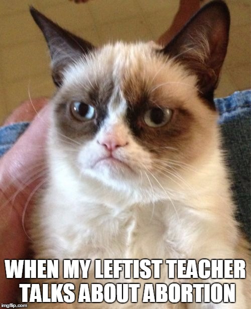 Grumpy Cat | WHEN MY LEFTIST TEACHER TALKS ABOUT ABORTION | image tagged in memes,grumpy cat,abortion is murder | made w/ Imgflip meme maker