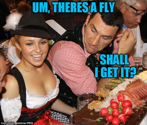 UM, THERES A FLY SHALL I GET IT? | made w/ Imgflip meme maker