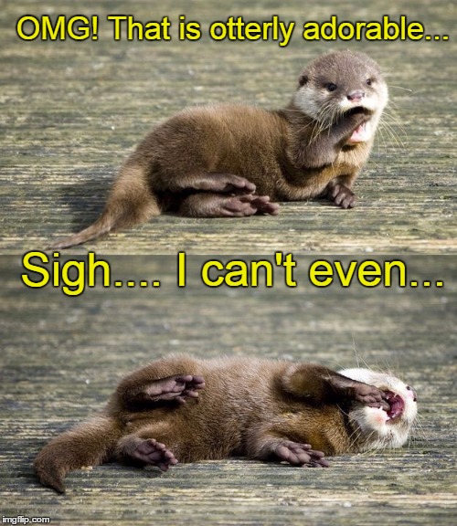 OMG! That is otterly adorable... Sigh.... I can't even... | image tagged in otter-adorbs | made w/ Imgflip meme maker