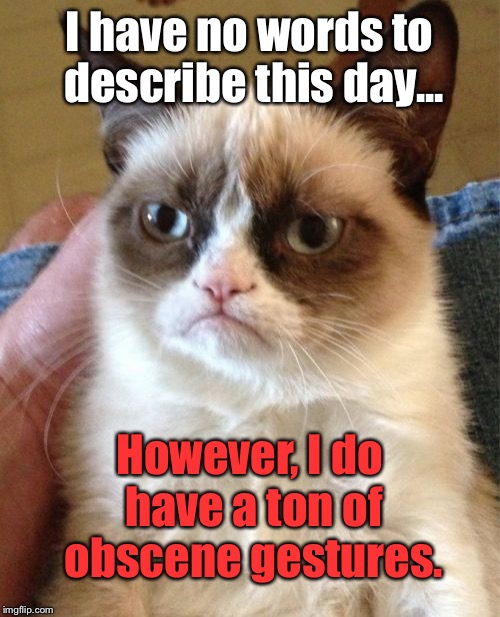 Grumpy Cat Meme | I have no words to describe this day... However, I do have a ton of obscene gestures. | image tagged in memes,grumpy cat | made w/ Imgflip meme maker