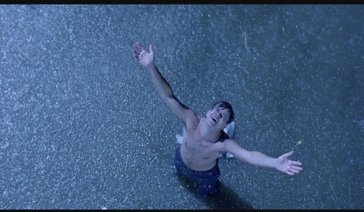 Shawshank redemption Blank Meme Template