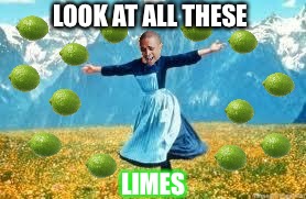 Look At All These LIMES | LOOK AT ALL THESE; LIMES | image tagged in memes,look at all these,why can't i hold all these limes | made w/ Imgflip meme maker