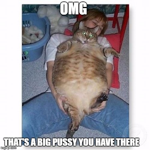 OMG THAT'S A BIG PUSSY YOU HAVE THERE | image tagged in omg,big pussy | made w/ Imgflip meme maker