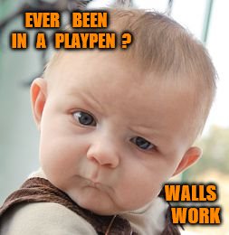 Skeptical Baby Meme | EVER    BEEN   IN   A   PLAYPEN  ? WALLS    WORK | image tagged in memes,skeptical baby | made w/ Imgflip meme maker