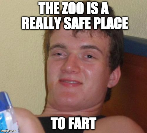 For once you don't have to blame the dog. | THE ZOO IS A REALLY SAFE PLACE; TO FART | image tagged in memes,10 guy,dog,fart,bacon | made w/ Imgflip meme maker