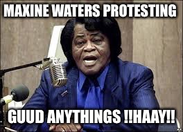 Maxine Waters | MAXINE WATERS PROTESTING; GUUD ANYTHINGS !!HAAY!! | image tagged in maxine waters | made w/ Imgflip meme maker