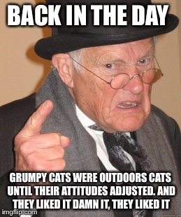 Back In My Day Meme | BACK IN THE DAY GRUMPY CATS WERE OUTDOORS CATS UNTIL THEIR ATTITUDES ADJUSTED. AND THEY LIKED IT DAMN IT, THEY LIKED IT | image tagged in memes,back in my day | made w/ Imgflip meme maker