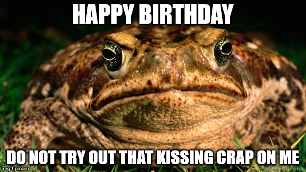 Happy Birthday | HAPPY BIRTHDAY; DO NOT TRY OUT THAT KISSING CRAP ON ME | image tagged in birthday,happy birthday,kissing,frogs,cynical | made w/ Imgflip meme maker